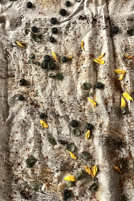 0777E507-001E-4EE1-A486-BBCAF9EE42F0-0f29c8e9ad44843006b9f0bc6d2f3a58