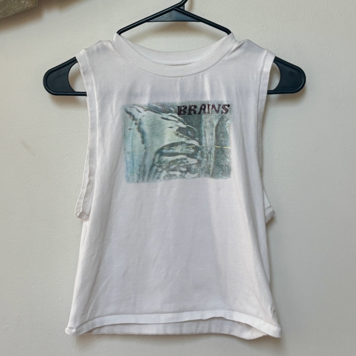 BRAINS_4-3a6b141395338a1a73dde9e58c70b8a4